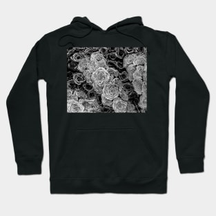 Black and White Roses Hoodie